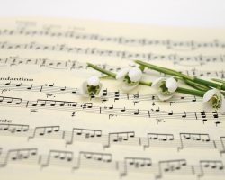 music, sheet music, snowdrop-7107045.jpg
